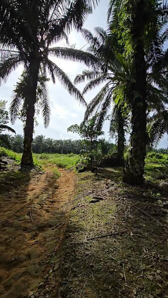 Senai Jalan Senai Idaman, Kulai - 4