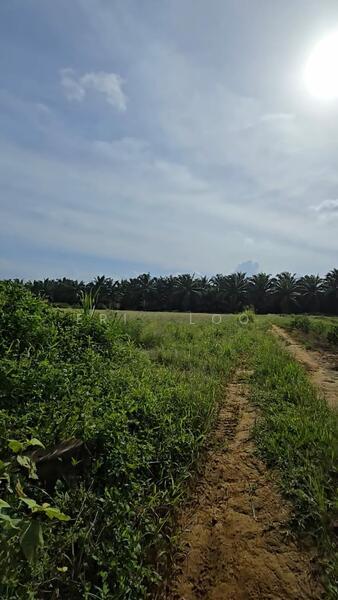 Senai Jalan Senai Idaman, Kulai - 1