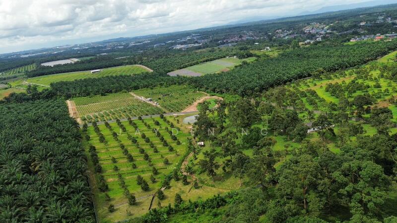 Ulu Tiram Ulu Tiram Ulus Tirams - 1