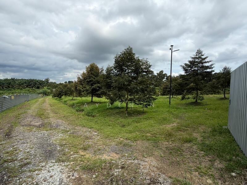 Ulu Tiram Ulu Tiram Ulus Tirams - 3