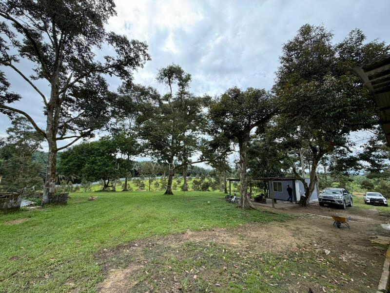 Ulu Tiram Ulu Tiram Ulus Tirams - 2