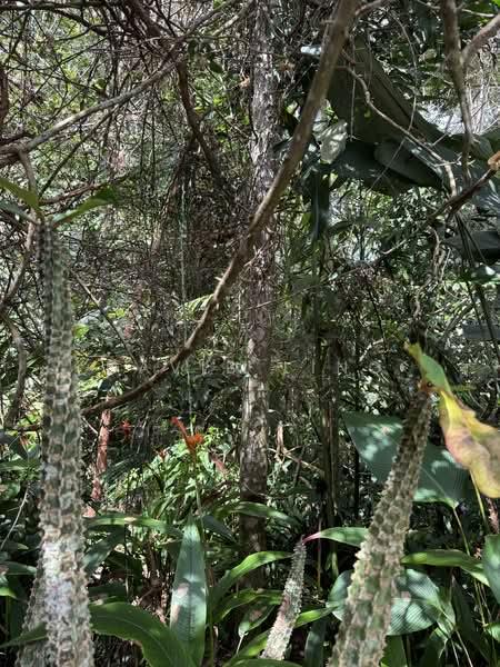 Matang FAC Highway - 2