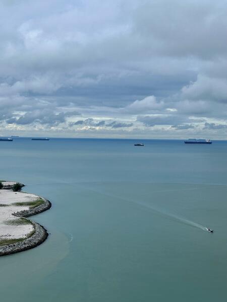 Ocean Palms Condominium - 4