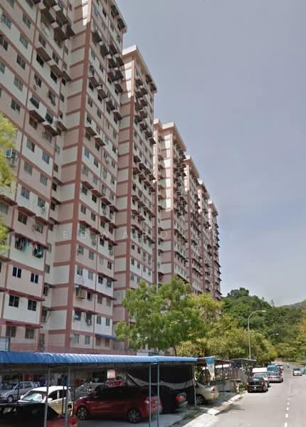 Pinang Emas - 5