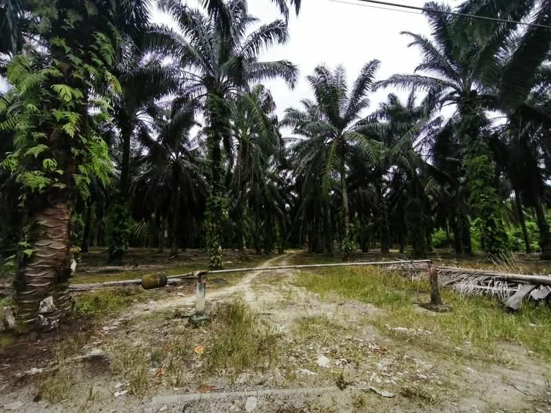 Gelang Patah Second Link Residential Land - 2