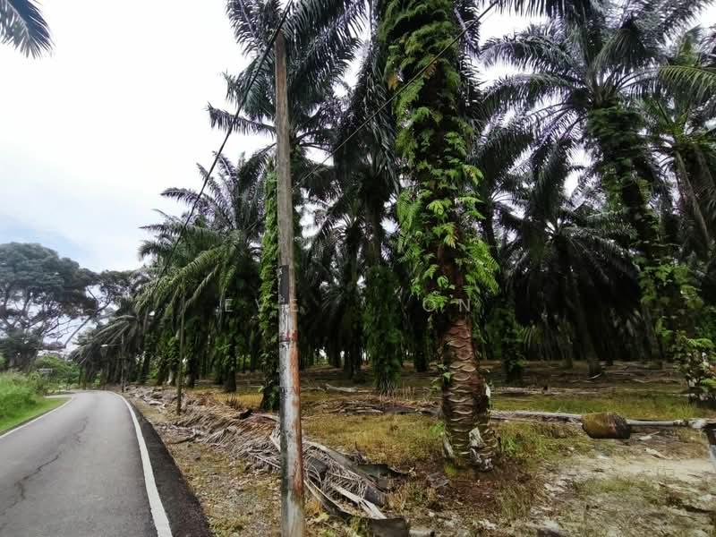 Gelang Patah Second Link Residential Land - 1