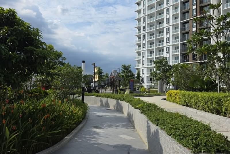 d'Brightton - 5