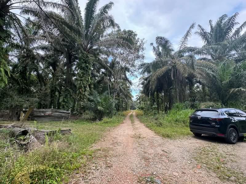 Kampung Ulu Pulai - 5