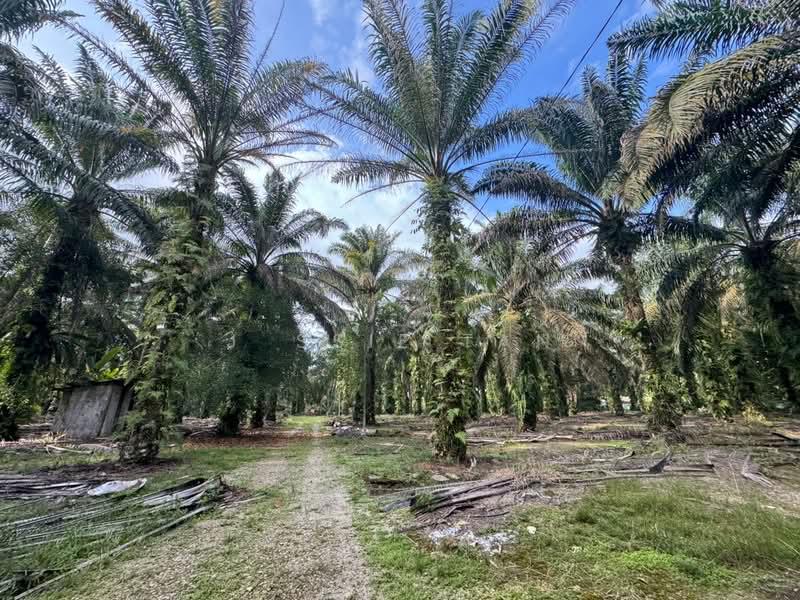 Kampung Ulu Pulai - 2