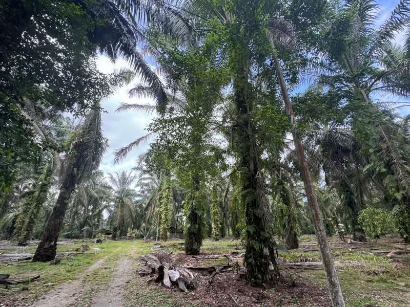 Kampung Ulu Pulai - 3