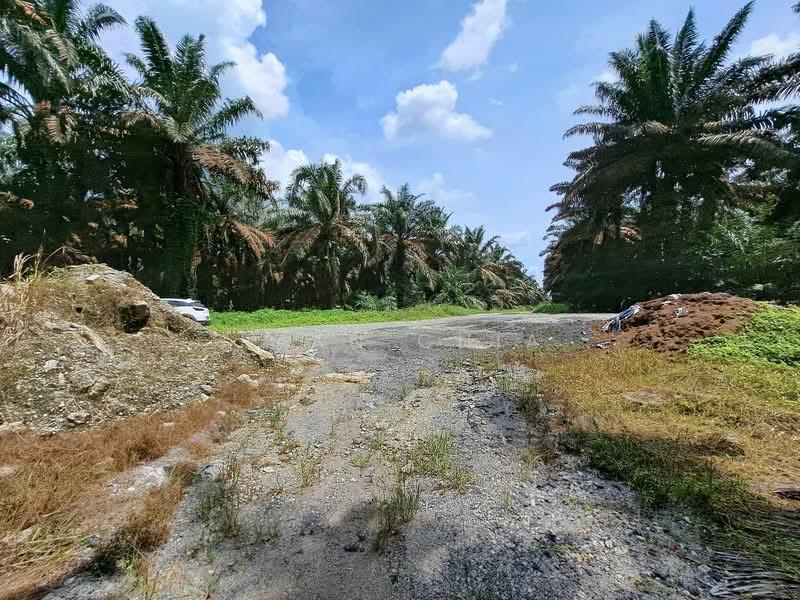 Kluang Agriculture Land 1,124 Acres For Sale - 4