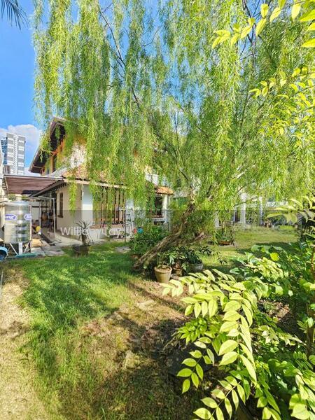 Molek Molek Moleks - 4