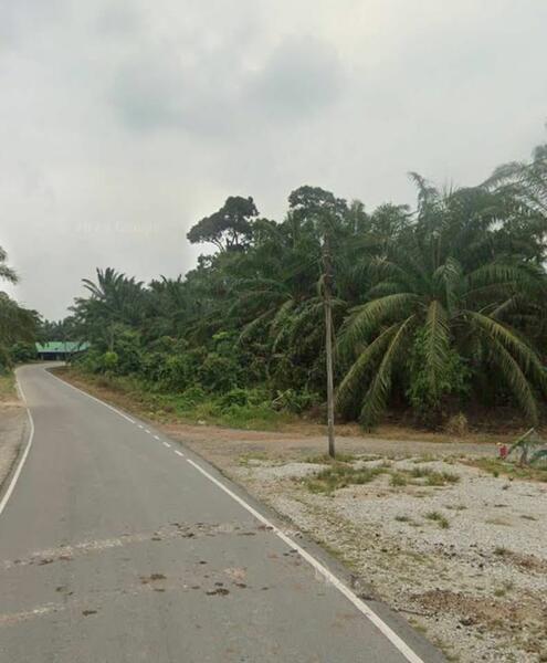 Pekan Nenas Medium Industrial Land - 1