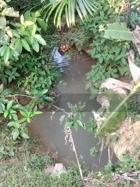 4.6 Acres Agriculture Land @ Layang-Layang, Johor, Facing Main Road - 4