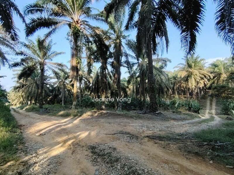 4.6 Acres Agriculture Land @ Layang-Layang, Johor, Facing Main Road - 1