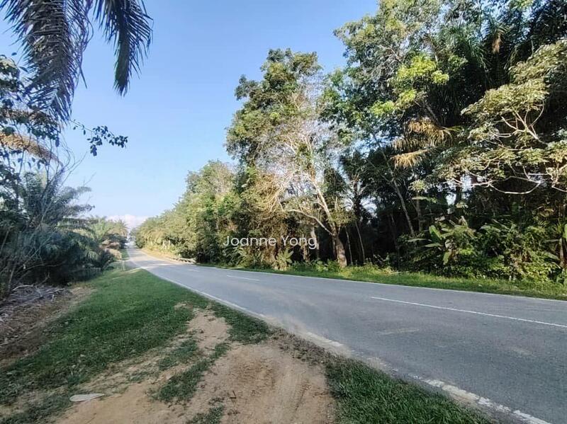 4.6 Acres Agriculture Land @ Layang-Layang, Johor, Facing Main Road - 5