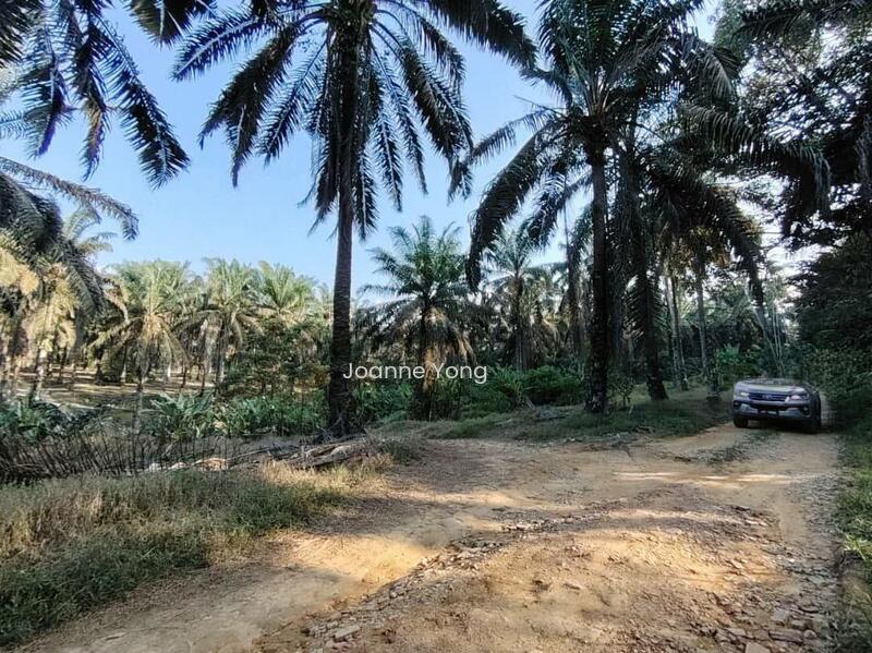 4.6 Acres Agriculture Land @ Layang-Layang, Johor, Facing Main Road - 3
