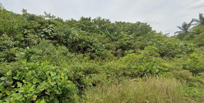 Residential Land Semenyih for Sale - 5