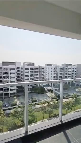 The Light Linear - 2