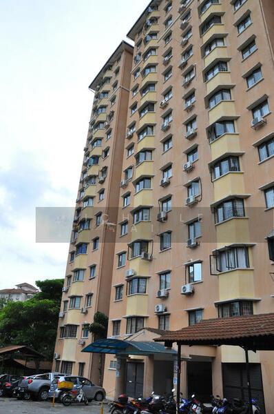 Aman Puri Apartment - 2