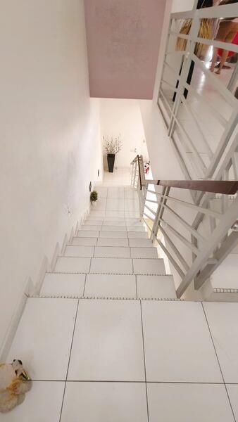 Alexandre D Cube - 4