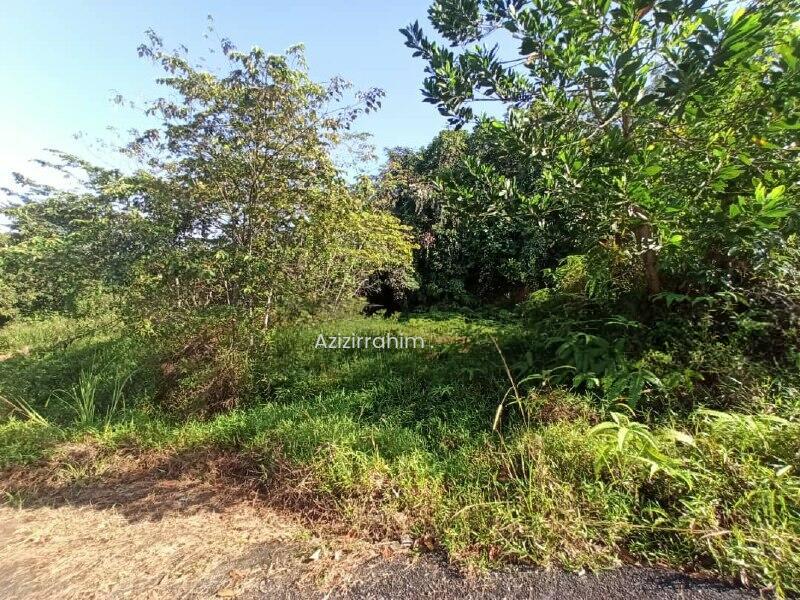 Corner Lot Bungalow Lot Sungai Merab Bangi - 4