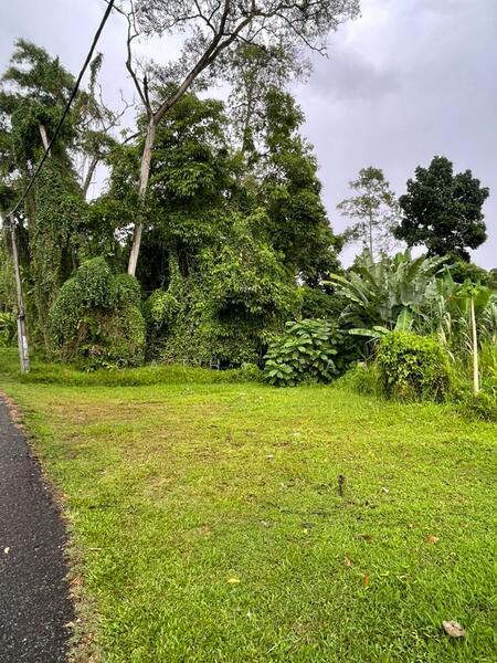 Kampung Nong Chik - 3