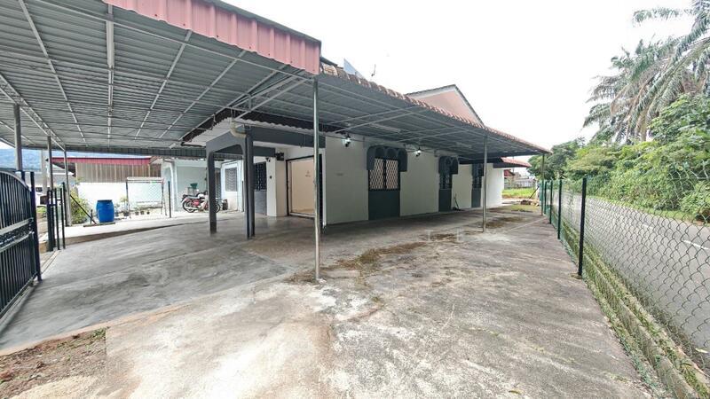 Kluang Kluangs - 5