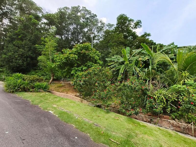 Mount Austin Mounts Austins - 2