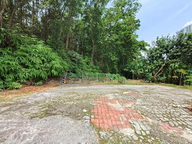 Mount Austin Mounts Austins - 1