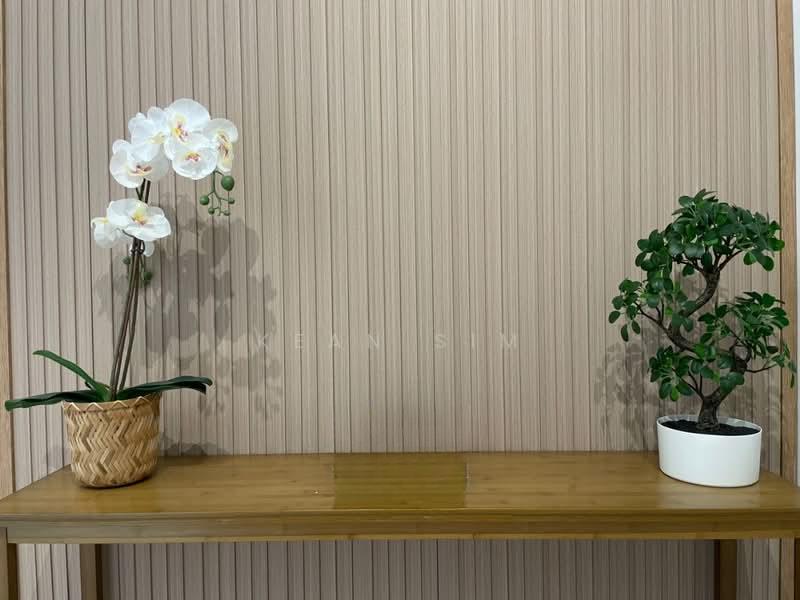 Trinity Pentamont - 4