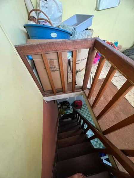 Taman Bunga Raya - 5