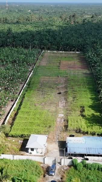 Pontian Agricultral land - 3