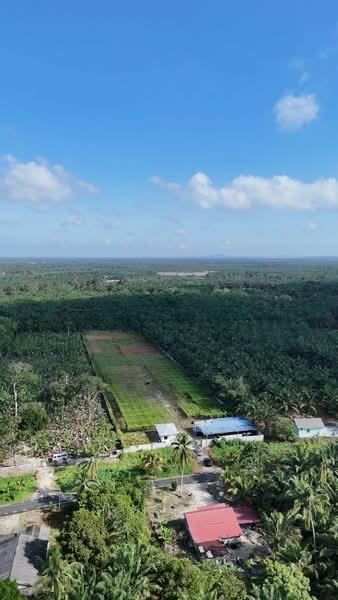 Pontian Agricultral land - 5