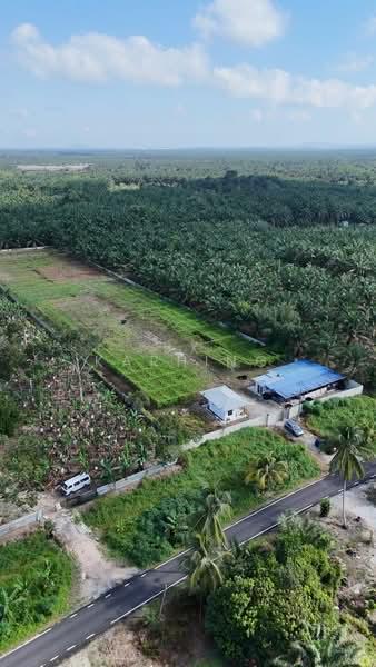 Pontian Agricultral land - 4