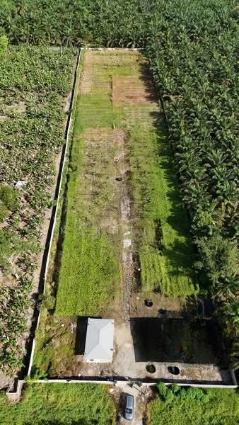 Pontian Agricultral land - 1