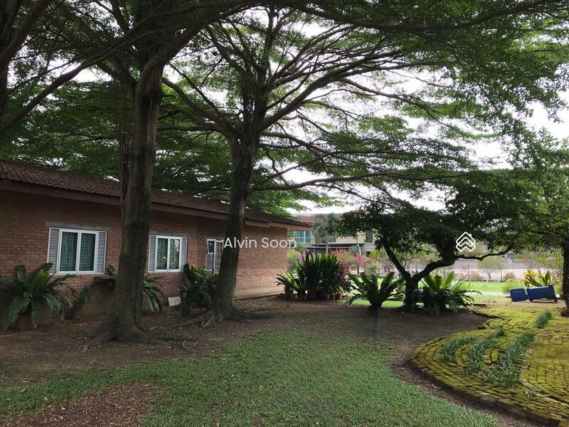 Tiger Lane Jalan Gopeng Lumba Kuda Ipoh Perak - 1