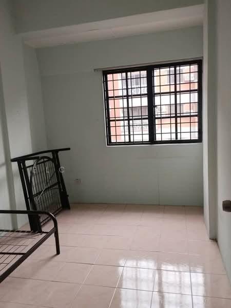 Evergreen Park Acorn & Hazel - 4