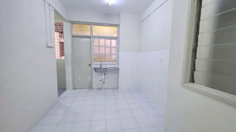 Kingfisher Series - 2