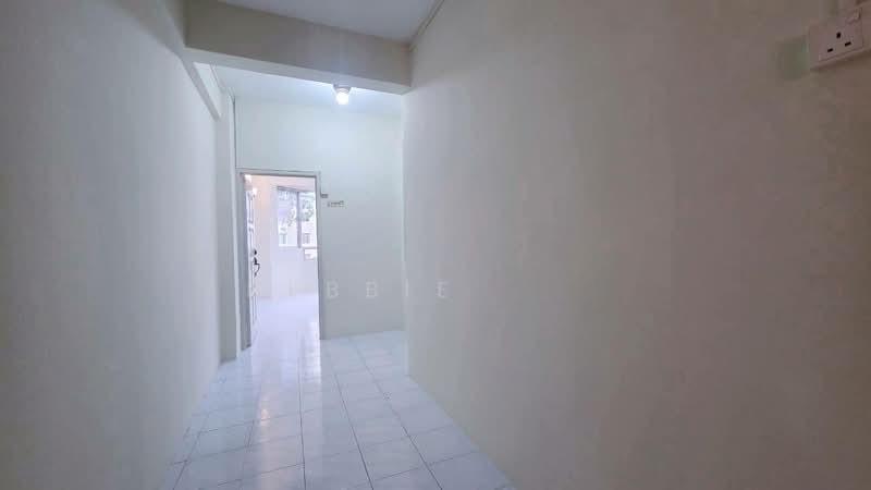 Kingfisher Series - 5