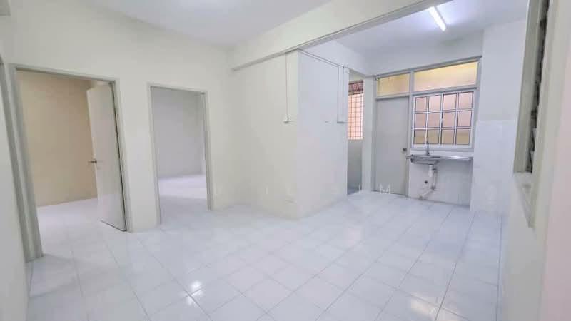 Kingfisher Series - 4