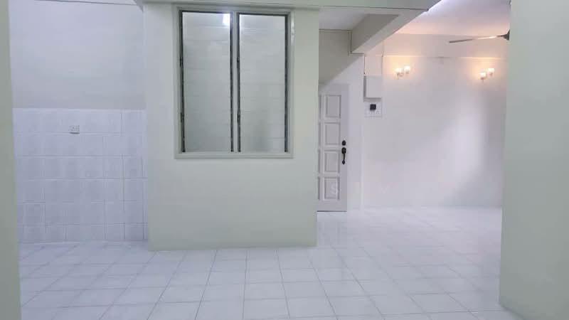 Kingfisher Series - 3