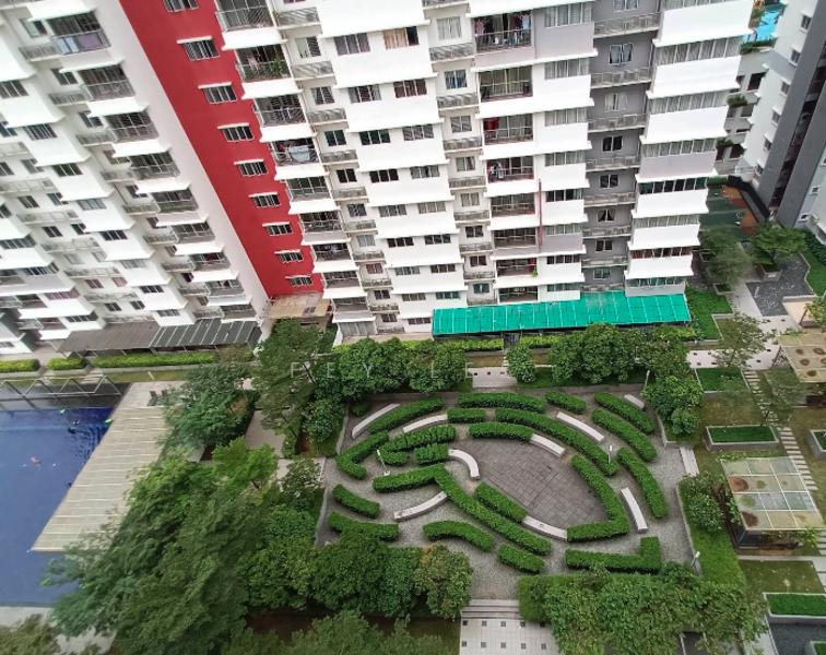 Koi Kinrara - 2