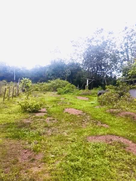 Sale urgent tanah Pegoh 3.9 EKAR tanah rata alor gajah - 2