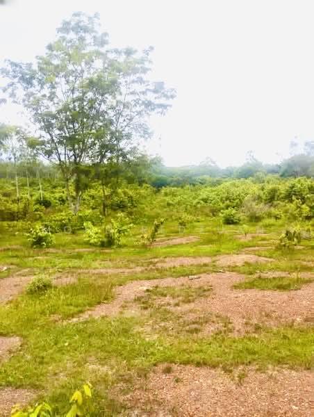 Sale urgent tanah Pegoh 3.9 EKAR tanah rata alor gajah - 3