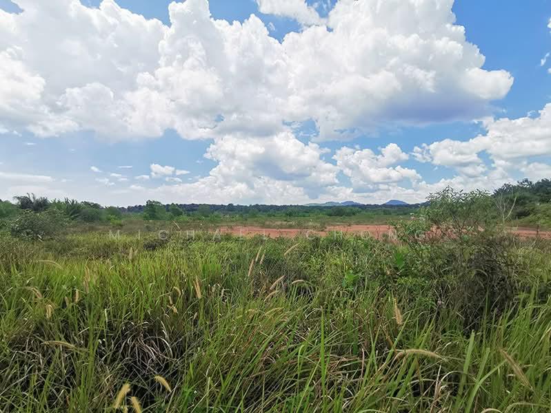 Kempas 10 Acres Residential Land for Sale - 3