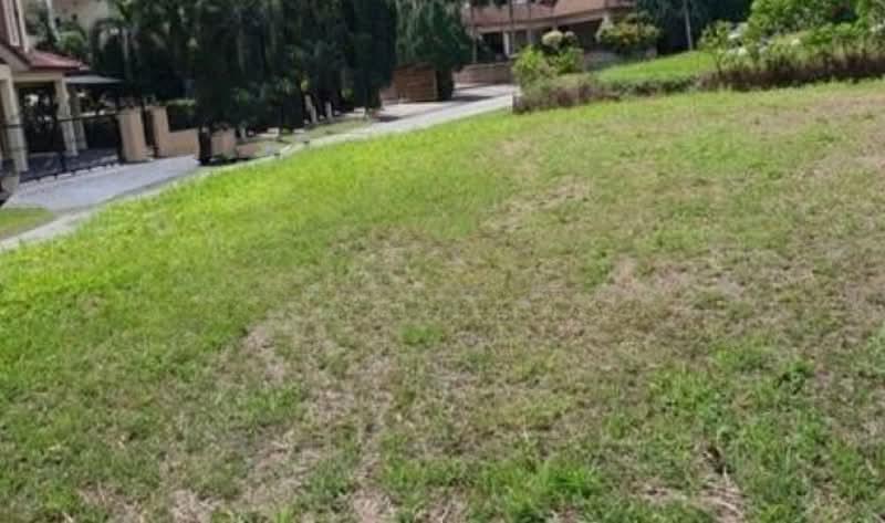Country Heights - 2