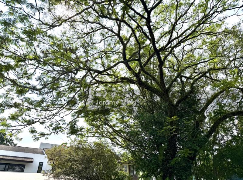 Spacious Semi-D with Sizeable Garden, Patios and Terraces - 5