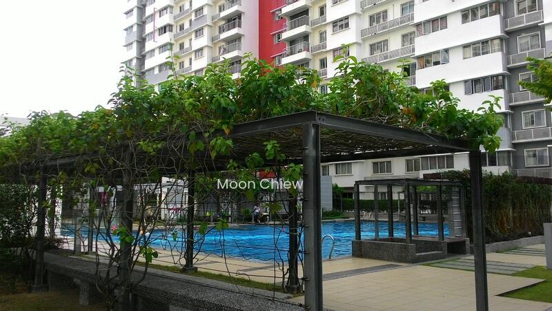 Koi Kinrara - 2