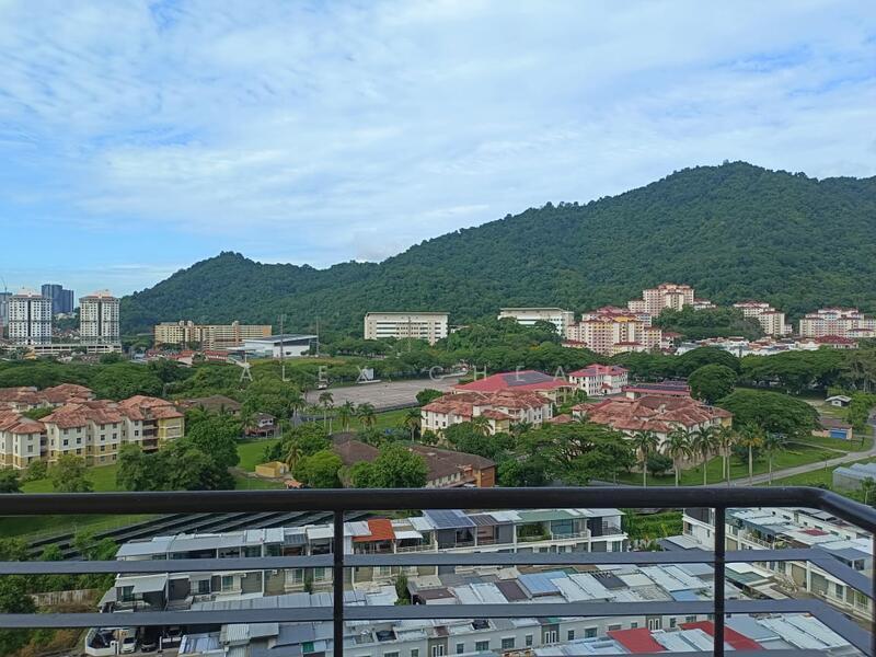 Palm Palladium Condominium - 2
